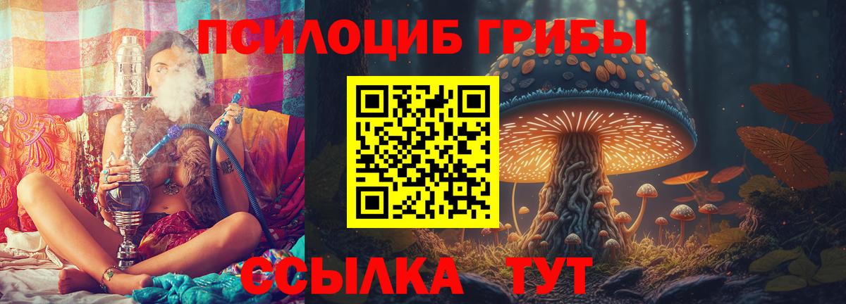Галлюциногенные грибы прущие грибы Томск