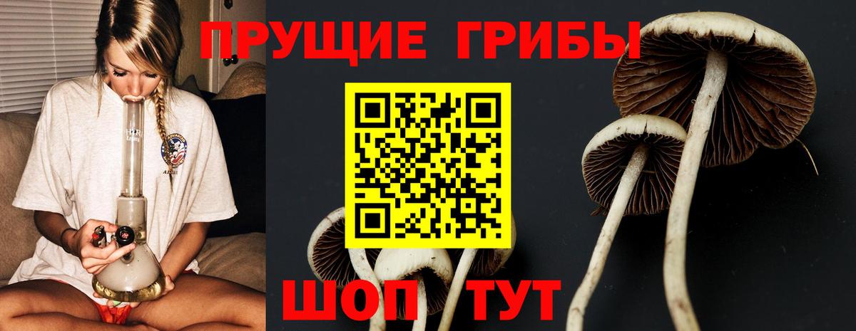 купить   Вход с VPN  Томск  Псилоцибиновые грибы мухоморы 